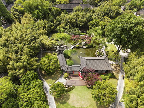 活化古典園林，賦能‘最江南’——探訪江蘇省文化和旅游重點實驗室園林